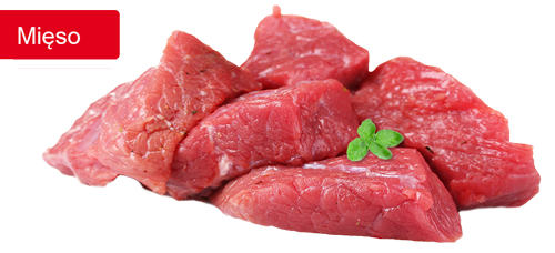 Mięso
